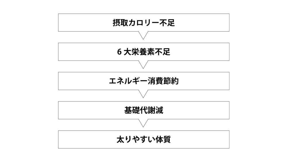 太る仕組み2